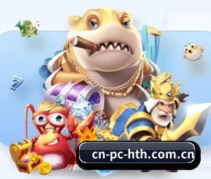 cn-pc-hth.com.cn的故事